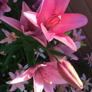 Meet your Posher, Meghan